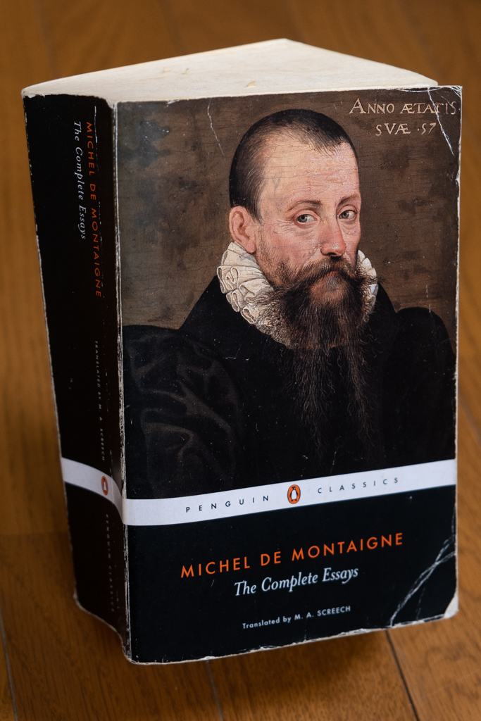 Why Blog? Montaigne and Thought-to-Text